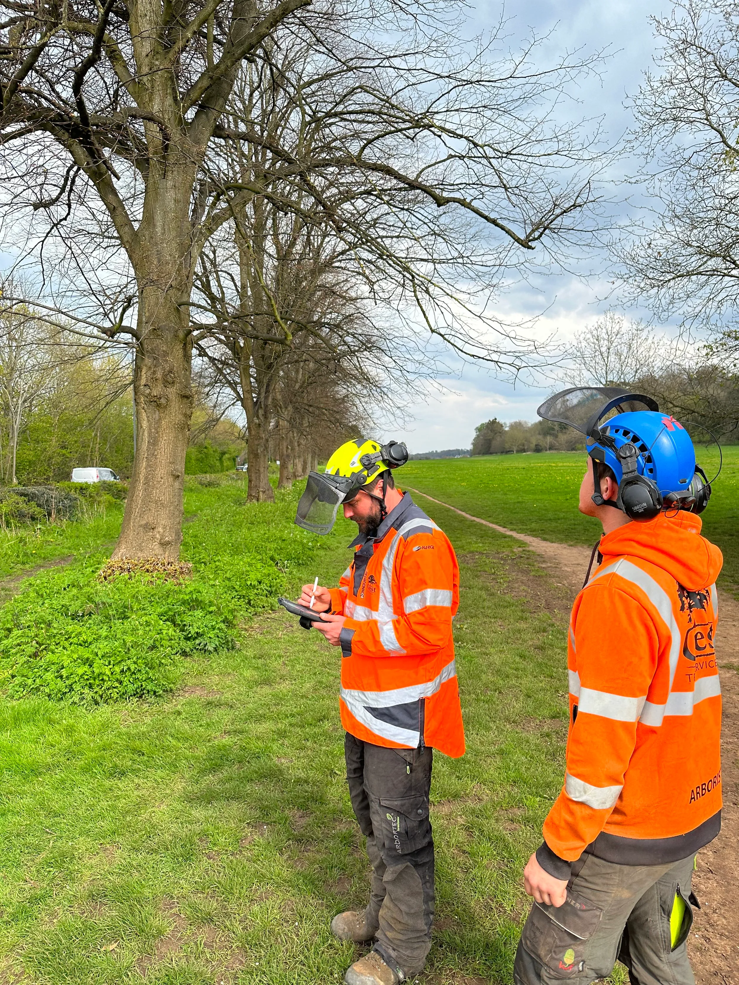 A tree surgery crew gathered on site around a device